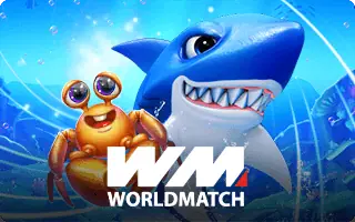WORLD MATCH