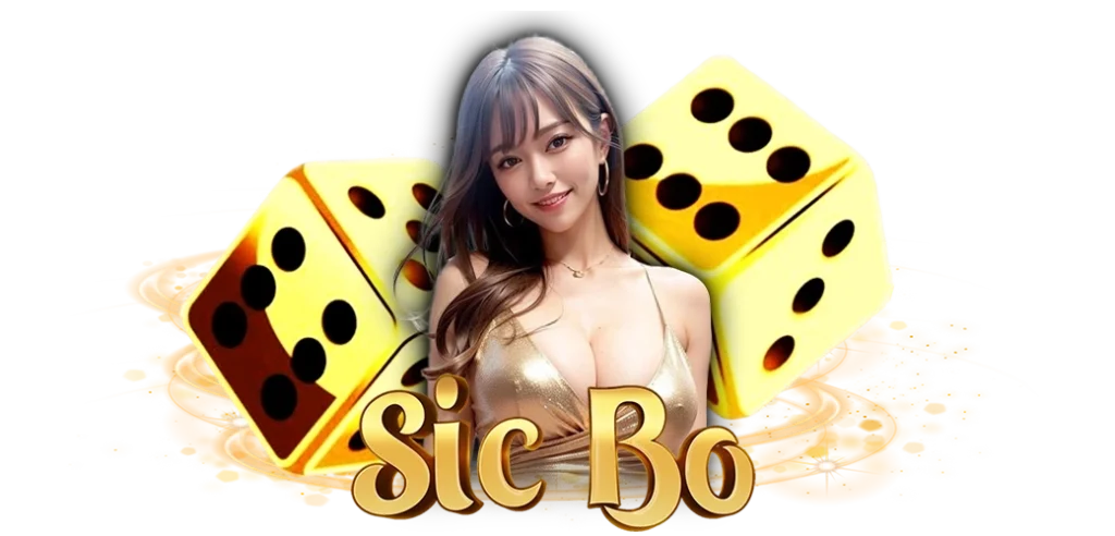 ไฮโล ค่าย Wm Gaming/22.03.24/ลูกเต๋า/นางแบบ/ตัวหนังสือ/HOTVIP888